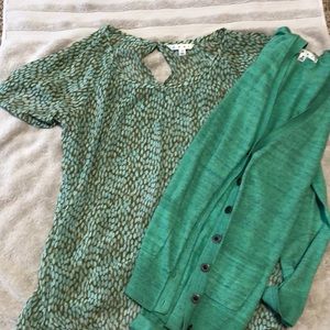 Beautiful green CAbi shirt and cardigan set